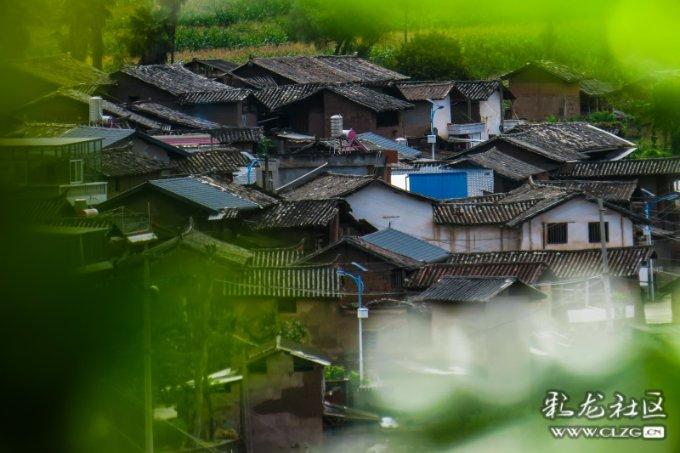 这菜确实贵，但冬天要多给孩子吃，补脑又强身，蒸一蒸就好，特鲜