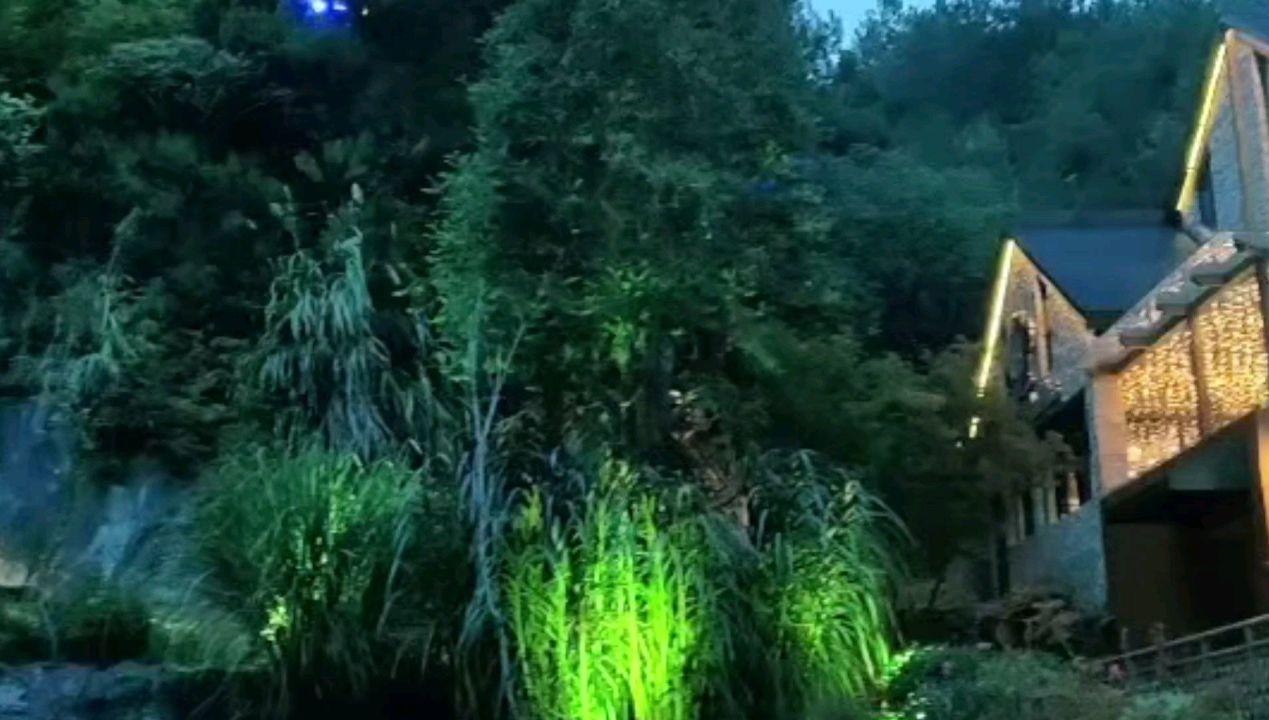 最美的校园女生71